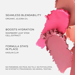 Westman Atelier - Mini Petite Baby Cheeks Lip + Cheek Cream Blush Stick